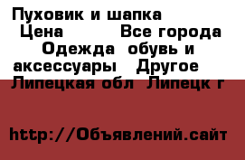 Пуховик и шапка  Adidas  › Цена ­ 100 - Все города Одежда, обувь и аксессуары » Другое   . Липецкая обл.,Липецк г.